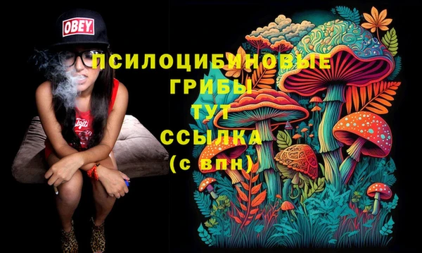 гашишное масло Бронницы