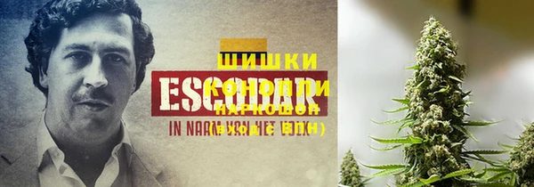 spice Архангельск